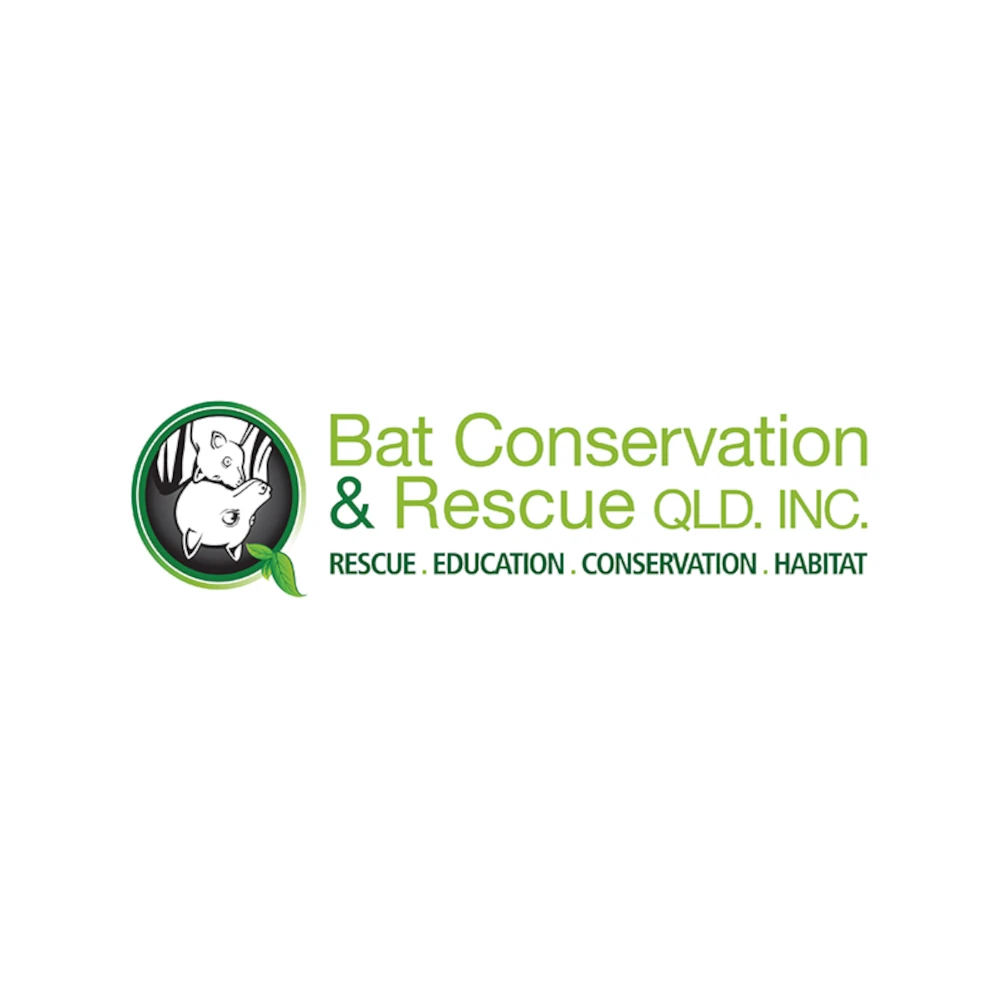 Bat Conservation & Rescue Qld
