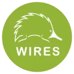 Wires